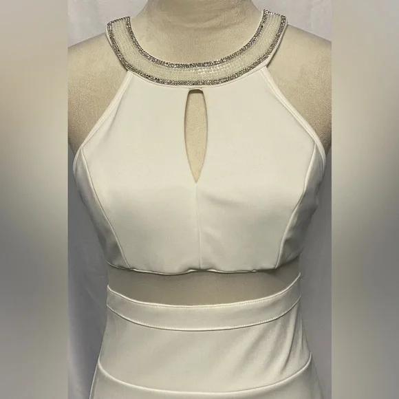 Windsor gorgeous bodycon dress - Picture 2 of 13